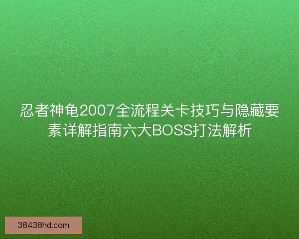 忍者神龟2007全流程关卡技巧与隐藏要素详解指南六大BOSS打法解析